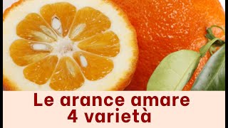 ARANCE AMARE, EPISODIO 1 - AGRUMI LENZI