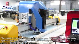 Richpeace 6cm Multi Layers Fully Automatic Cutting Machine