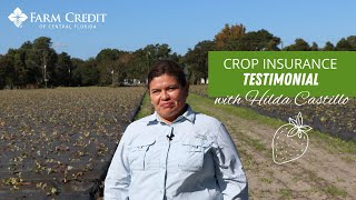 Crop Insurance Testimonial: Hilda Castillo (SPANISH)