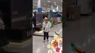 Me voy para Medellín Feria de las Flores 🐝💐 Supermercado EXITO desfile de silletas