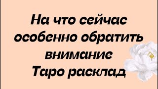 Таро. На что сейчас особенно обратить внимание . Таро расклад