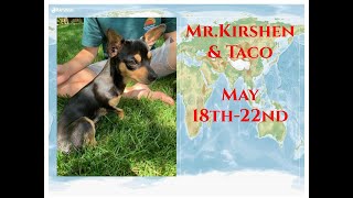 Mr. Kirshen & Taco May 18th-22nd