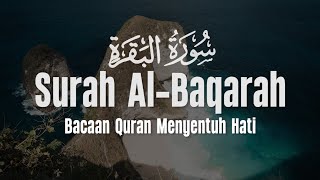 Surah Al Baqarah سورة البقرة Dengan Suara Indah Membuat Hati Tenang | Ismail Al Qadi