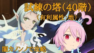 【テイルズオブアスタリア】試練の塔４０階（有利属性：地）２人の闇カノンノ使用