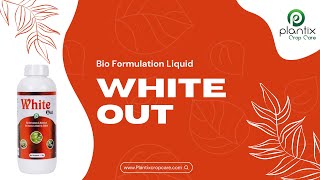 WHITE OUT (Bio Formulation Product For Whiteflies)