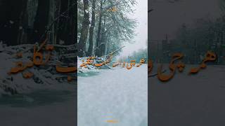 فردا نماز میخونی واسه شب اول قبر! #shorts #short #video #yas