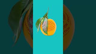 Orange Animation in After Effects #socialmediagraphic #adobeaftereffects