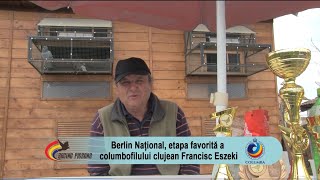 Berlin Naţional, etapa favorită a columbofilului clujean Francisc Eszeki