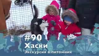 #90, Экскурсия в питомник хаски