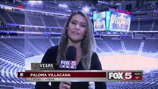 Vegas Golden Knights PKG