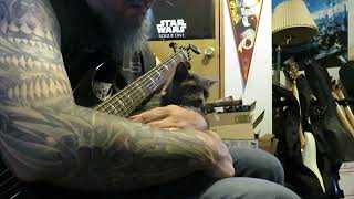 Modulus Guitarist Jamming With Cat... 17 years later