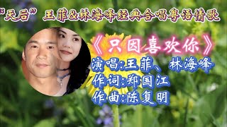 只因喜欢Faye 王菲 林海峰