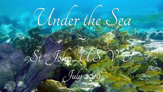 St John - Under the Sea