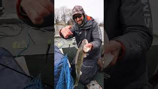 Jigging For Walleye - Saginaw River Michigan