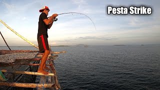 PESTA STRIKE..!! MANCING KAKAP MERAH, IKAN TOMPEL DAN KERAPUH || UMPAN CUMI SEGAR