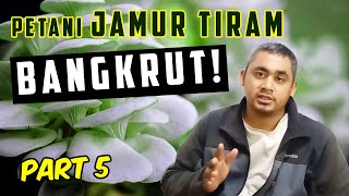 Mengapa Petani Jamur Tiram Gulung Tikar ? Part 5