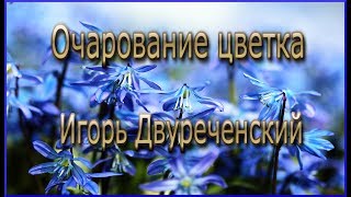 #Игорь Двуреченский " Очарование Цветка "