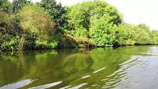 Best Scenic Nature Place Of Brazil | Stunning River - Relax Video With Naturally Beauty