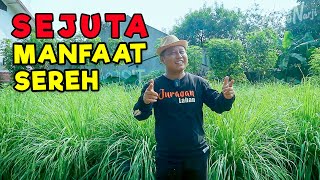 SEJUTA MANFAAT POHON SEREH || NANEM SATU TUMBUH SEDAPUR RUMAH