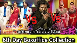 बाघ हो बाघ ll 12 Gaun Vs Chhakka Panja 5 Vs Jwai Saab ll 6th Day BoxOffice Collection 2024 ll Biraj