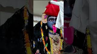 काली पूजा कोलकाता #kalipuja #shortvideo