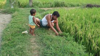 Bangladeshi Village Farmer Life Style Vlog \ Village Farmer Life \ Village Bloger