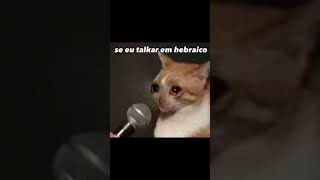 GATO #meme #fyp