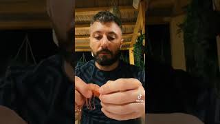 ASMR seafood eating TikTok #shorts