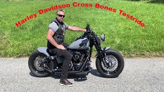 Harley Davidson Cross Bones, new project