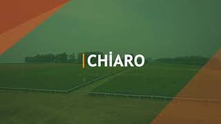 Chiaro - Lançamento