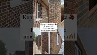 кирпич керамический купить в у нас.#дом #цемент #кирпич #brick #cegla #ziegel