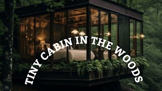 TINY CABIN IN THE WOODS