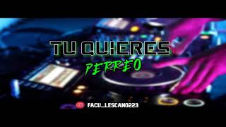 TU QUIERES PERREO🔥(MIX)❌DJ FACU LESCANO