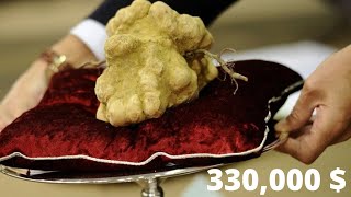 Most Expensive Foods In The World Part 1