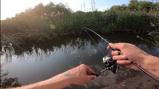 Мормышинг. Поймал Шамайку в Ручье!!!#fishing#рыбалка#мормышинг