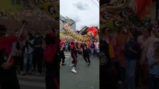 REAKSI NAGA DIACARA CAP GO MEH KOTA PONTIANAK #shorts #shortsvideo