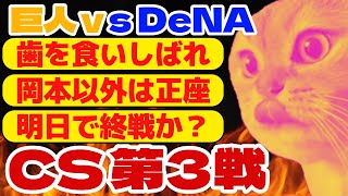 【猫ミーム】なんか今年終わりそう。CS第3戦(セ)を振り返ろう。