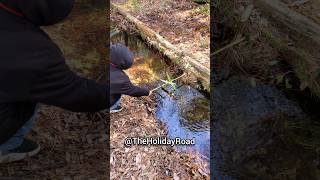 We found these water wheels while on a hike. #shorts #waterwheel #georgia #statepark #explore