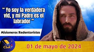 Evangelio de HOY miércoles 1 de mayo. Jn 15, 1-8. "Yo soy la verdadera vid..."