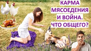 КАРМА МЯСОЕДЕНИЯ И ВОЙНА. ЧТО ОБЩЕГО?