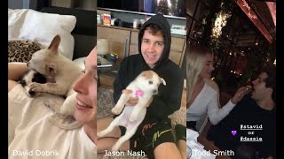 David Dobrik playing with puppies  - David Dobrik & Vlog Squad Instagram Stories 31