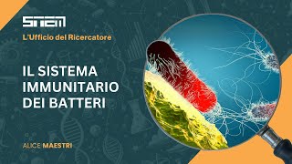 Il sistema immunitario dei batteri (Alice Maestri)