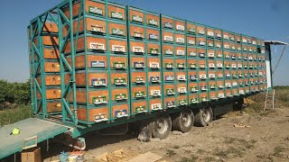 a first in the world. new system modern mobile beekeeping