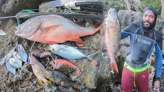 Kill Shot On A Giant Mutton Snapper Sweet Day Of #spearfishing