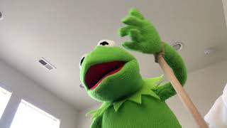 Kermit upset about Minecraft