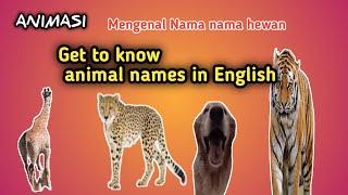 Get to know animal names in English