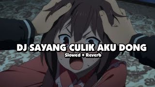 DJ SAYANG CULIK AKU DONG (Slowed + Reverb) 🎧