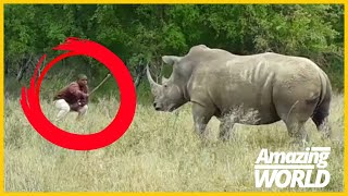 6 Heart-Stopping Rhino Encounters You Won't Believe Are Real / Rhino Attack