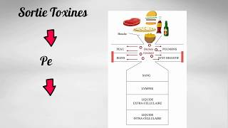 Ce que tout le monde devrait savoir sur la fabrication des maladies, pour les éviter et les guérir.