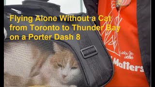 Flying Alone Without a Cat from Toronto to Thunder Bay on a Porter Dash 8